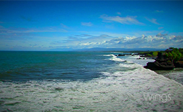 90 Saniyede Bali