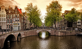 Amsterdam Elinizin Altında