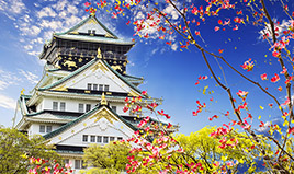 Osaka Elinizin Altında
