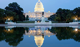 Washington Elinizin Altında